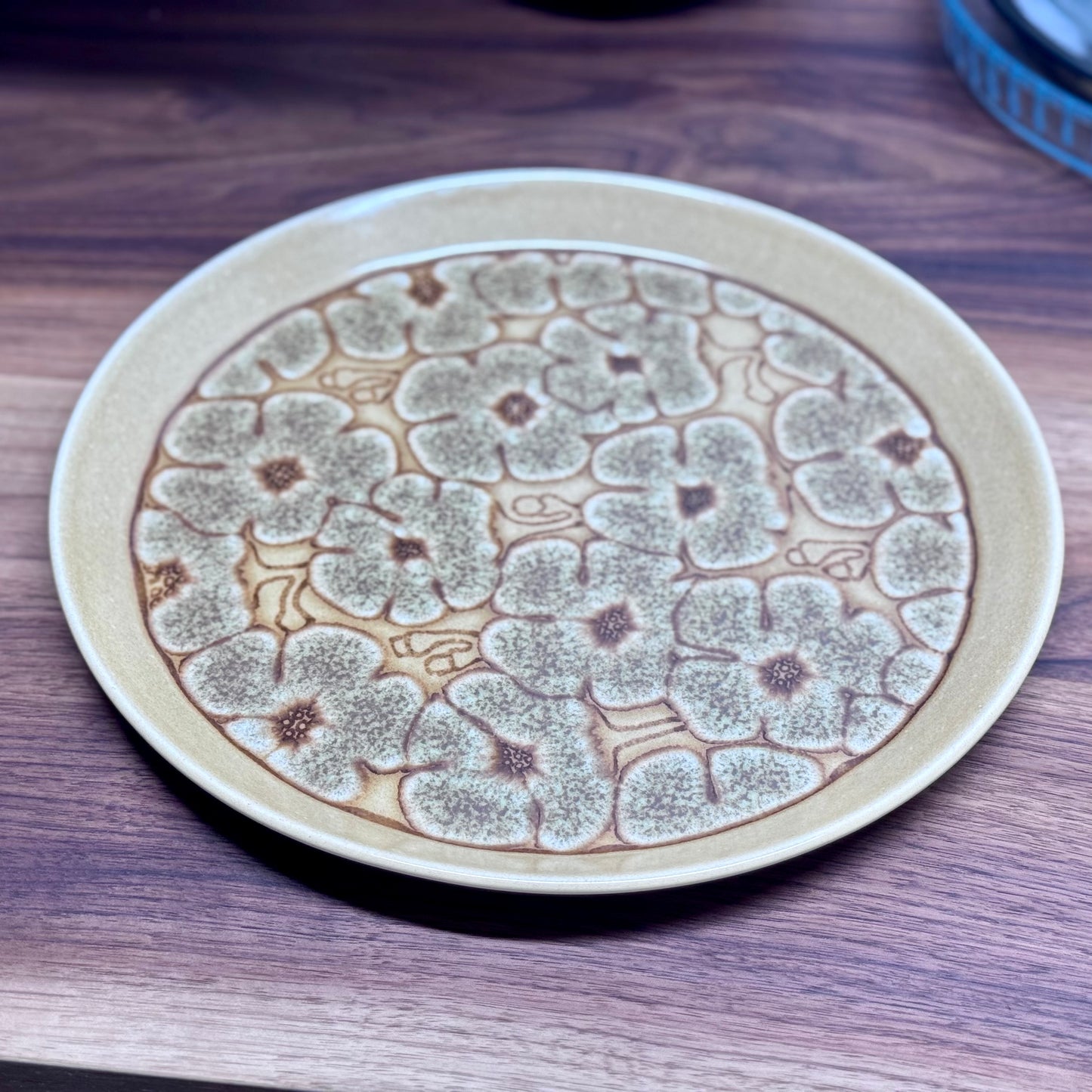 Crown Lynn Earthstone 'Camille D627' New Zealand Dish Set