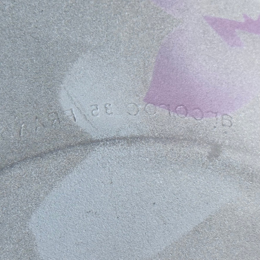 Arcoroc France Frosted Glass Dinner Plates