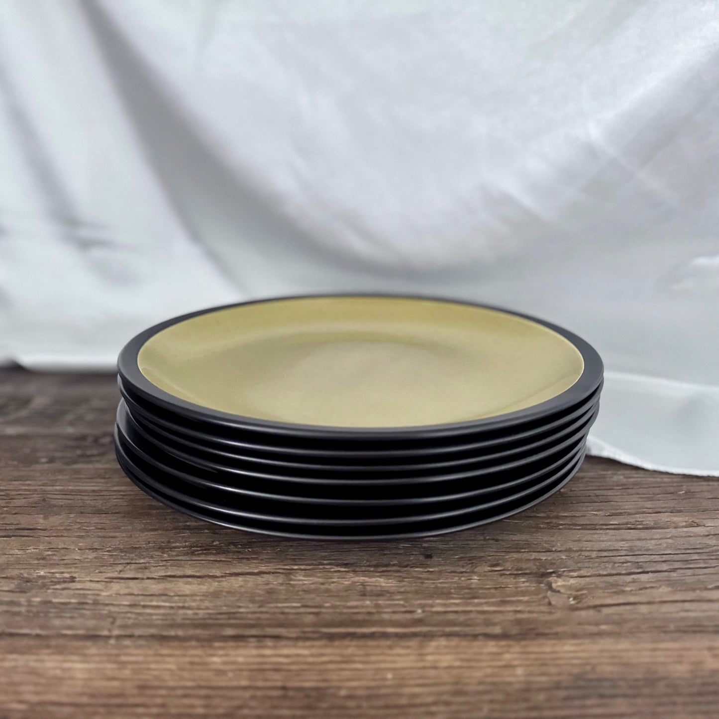 Mikasa Terra Stone "Spring Tea" Dinner Plates
