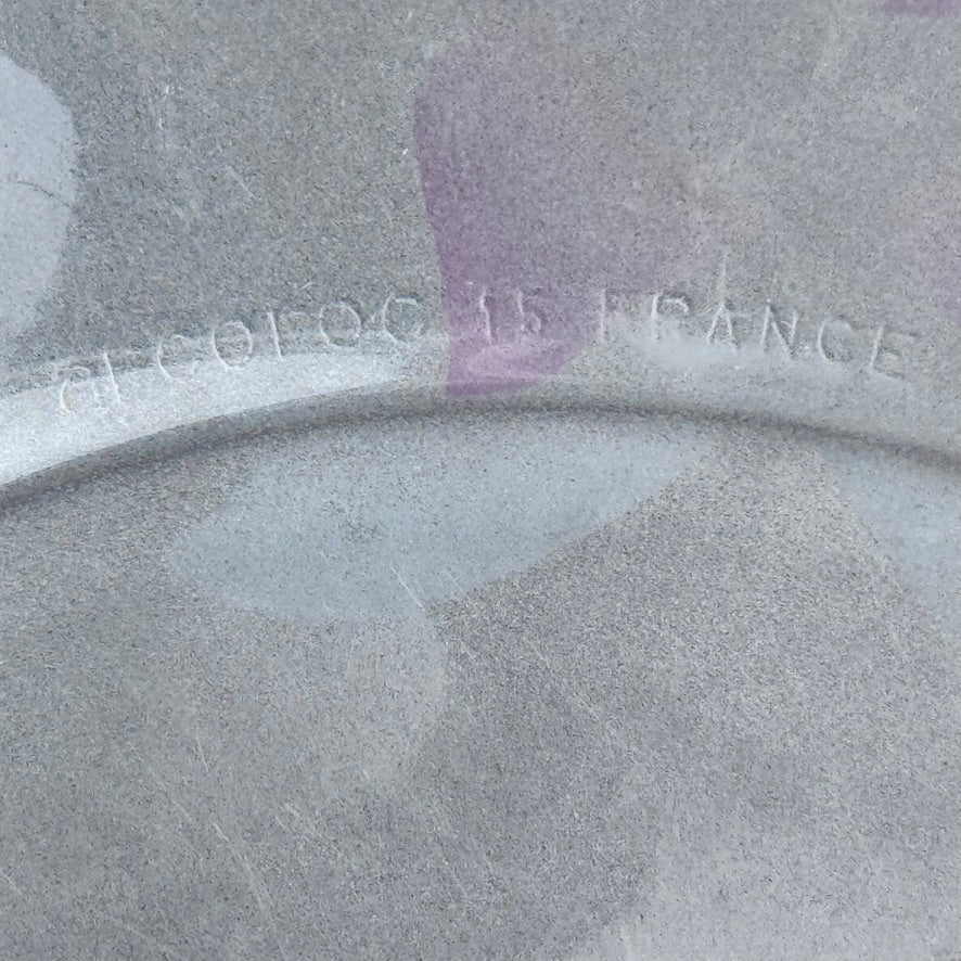 Arcoroc France Frosted Glass Dinner Plates