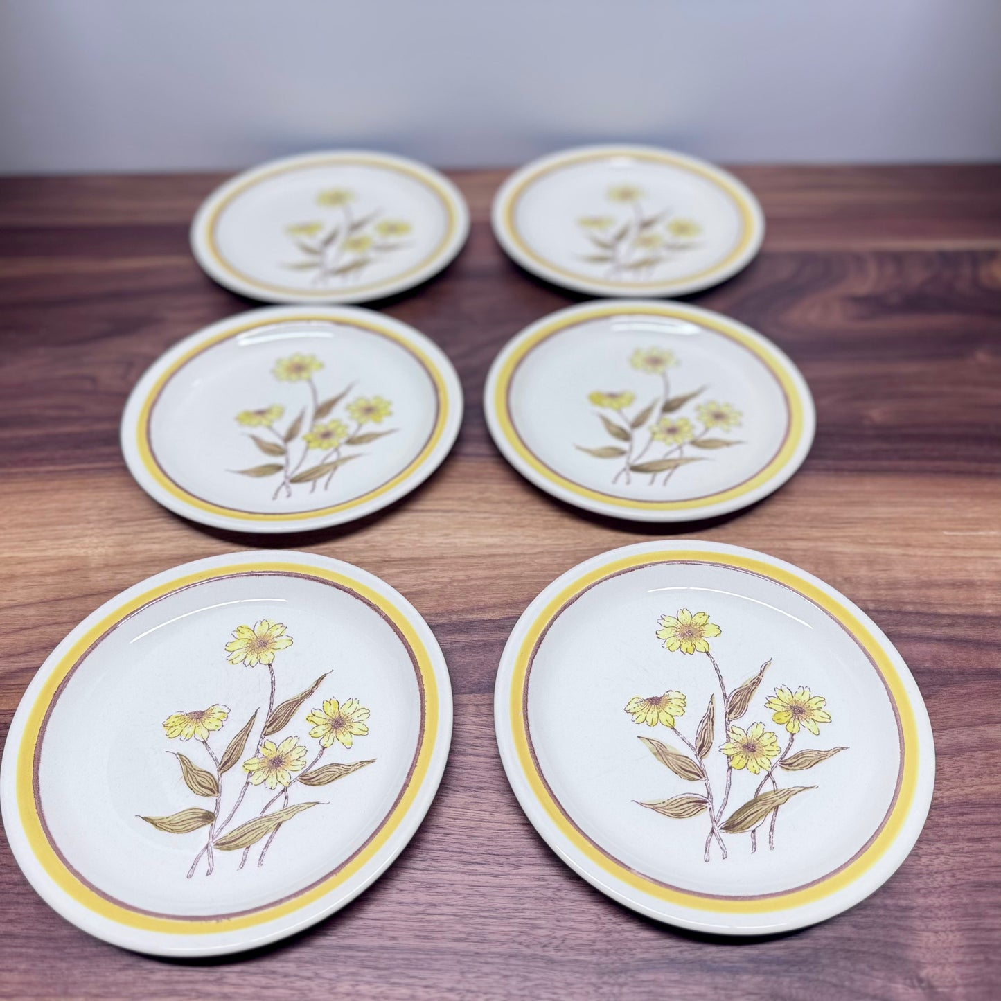 Forma Stone Hand Decorated Plates