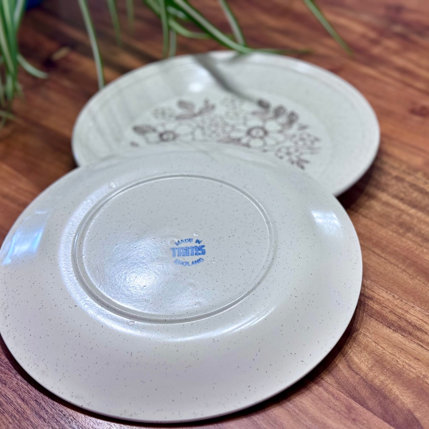 TAMS Made In England Stoneware Dinner Plates