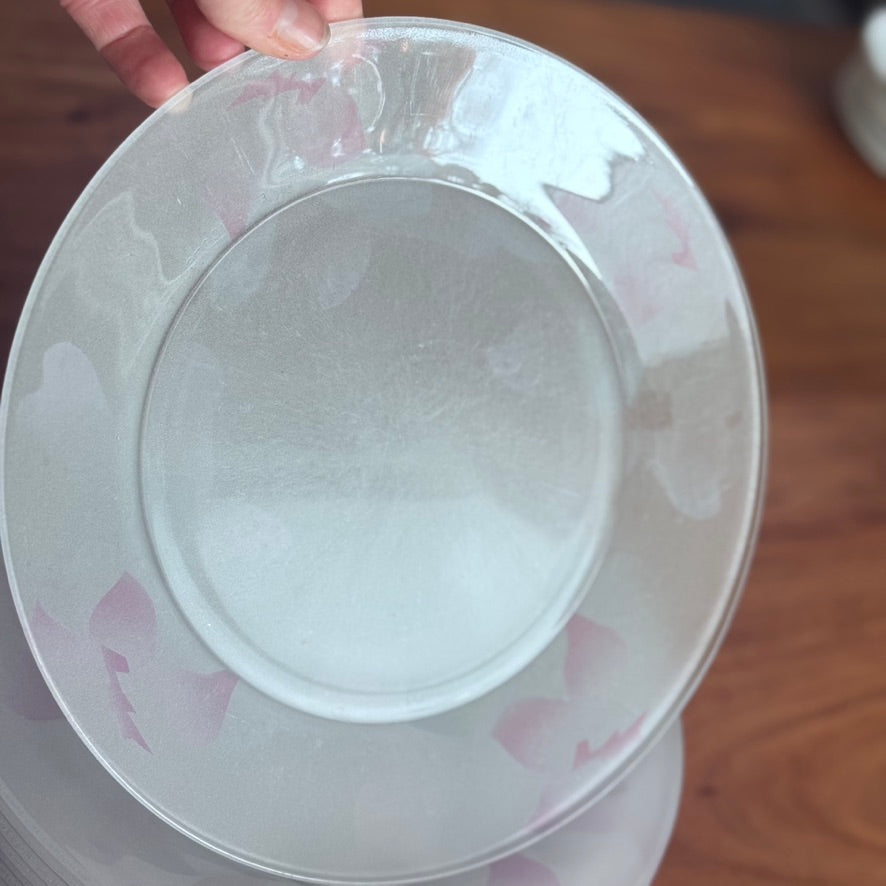 Arcoroc France Frosted Glass Dinner Plates