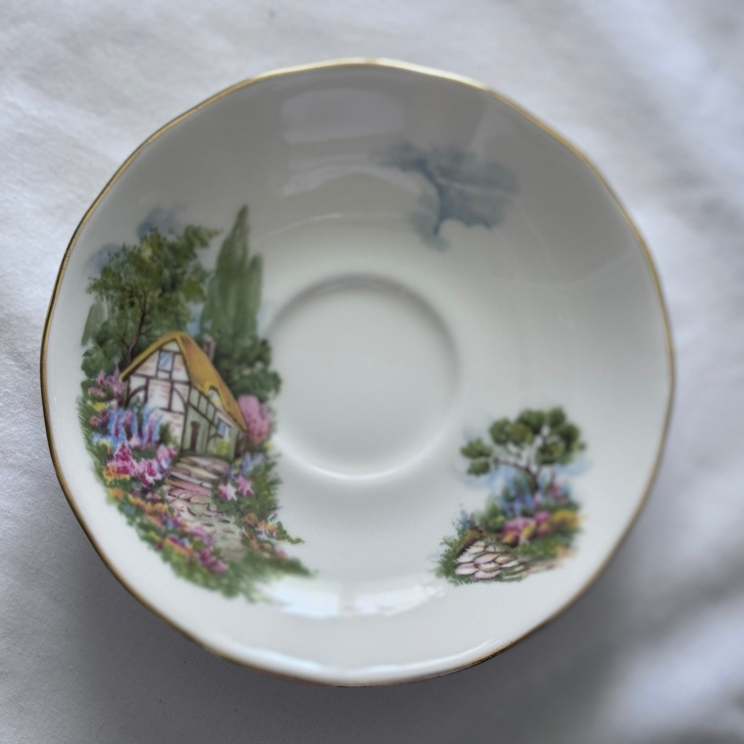 Queen Anne N 8677 TeaCup and Saucer