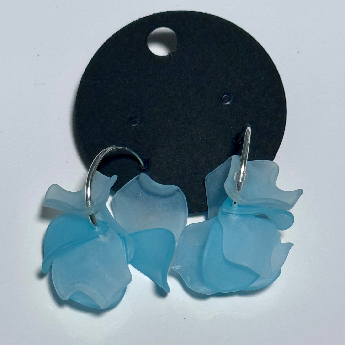Sonia Ferland Earrings - Aqua hoops