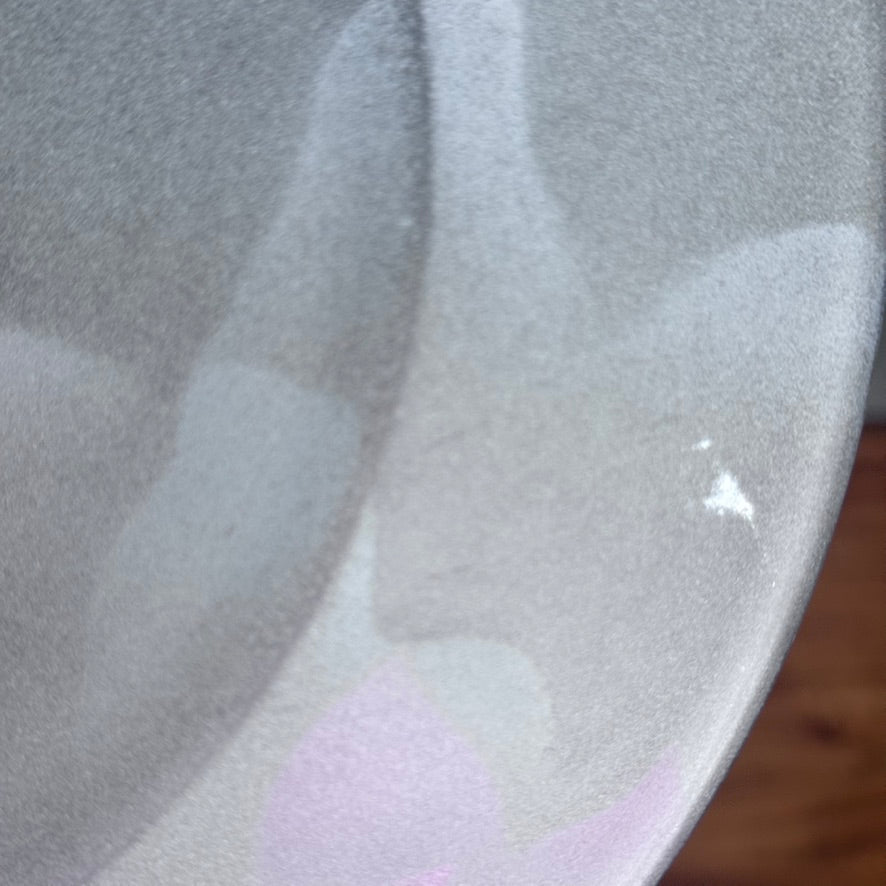 Arcoroc France Frosted Glass Dinner Plates