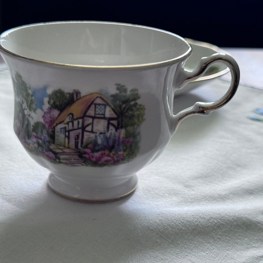 Queen Anne N 8677 TeaCup and Saucer