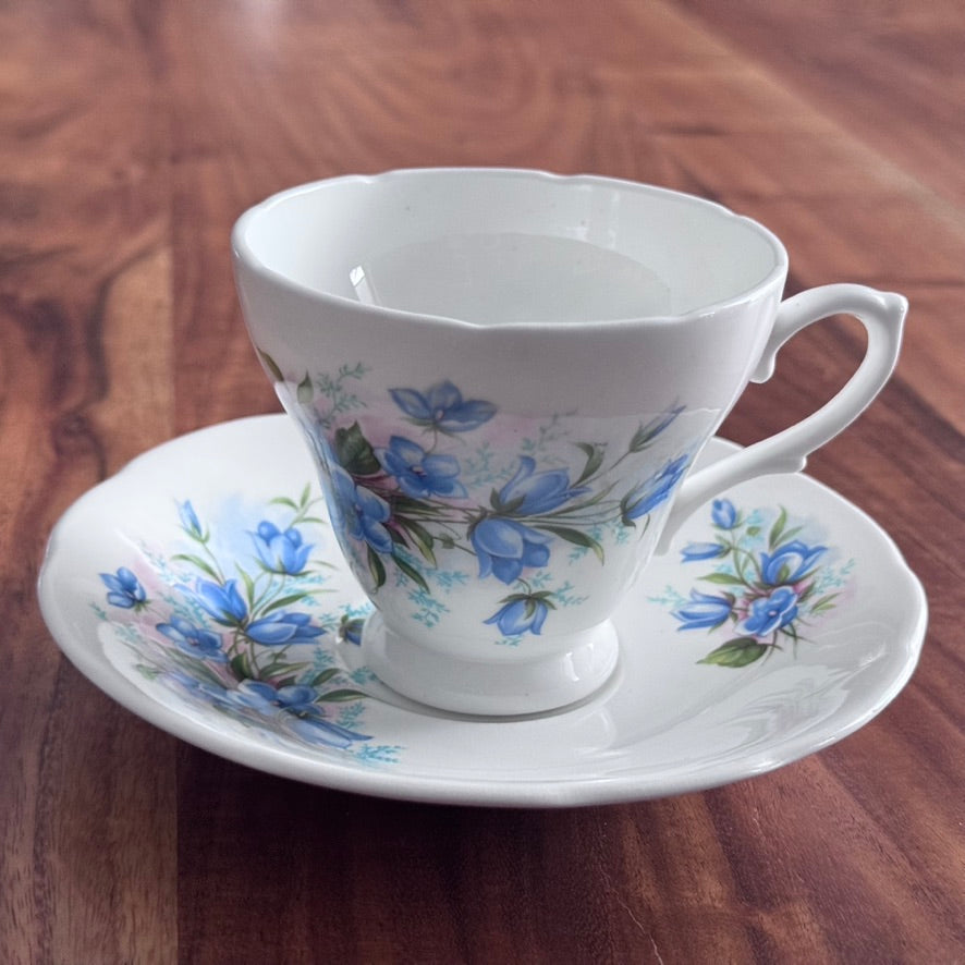 Royal Trent 'BlueBells' Teacup & Saucer