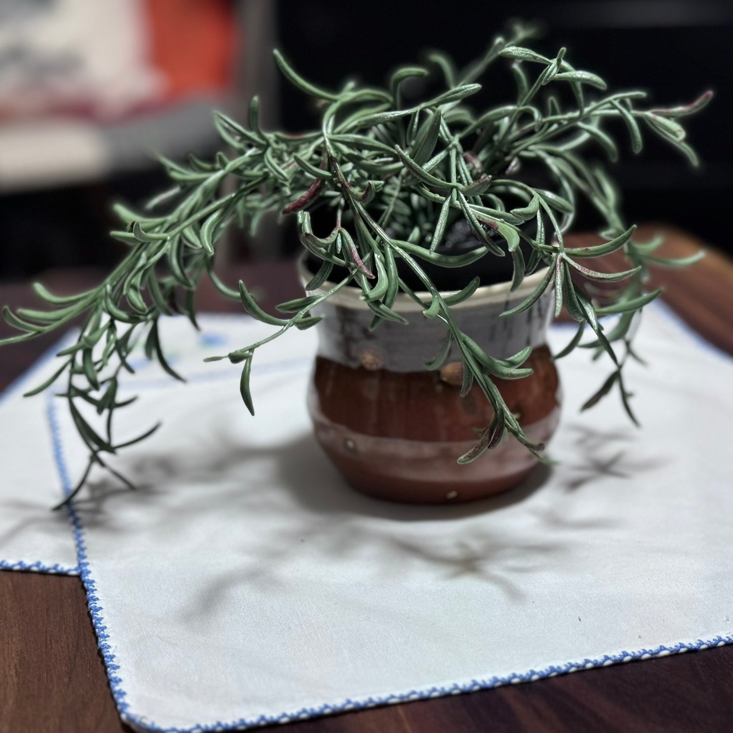 Small Pottery Planter/Pot