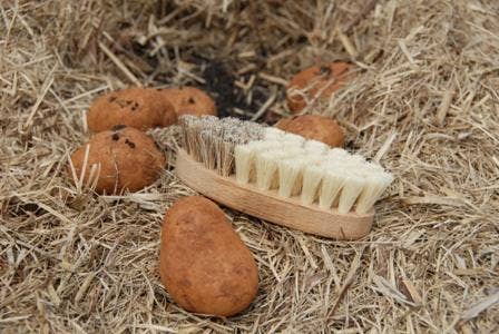 Redecker Vegetable Brush/ Natural / Plant Based Fibre Bristles Untreated Beechwood