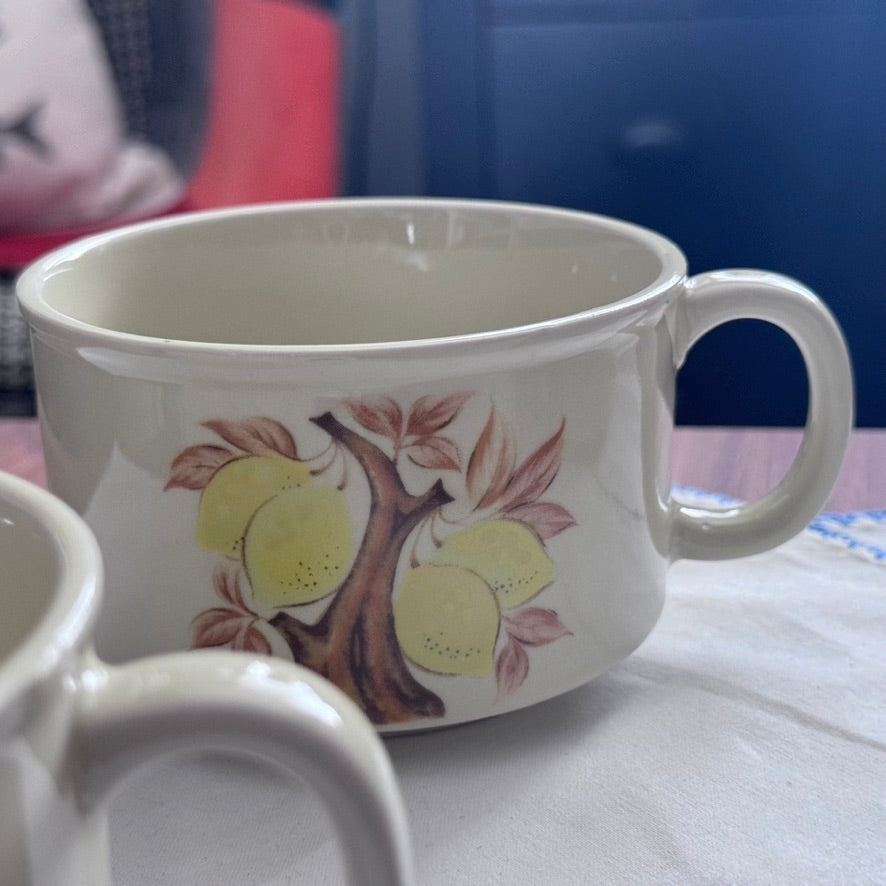 Fruit Pattern Storeware Mugs/Soup Cups