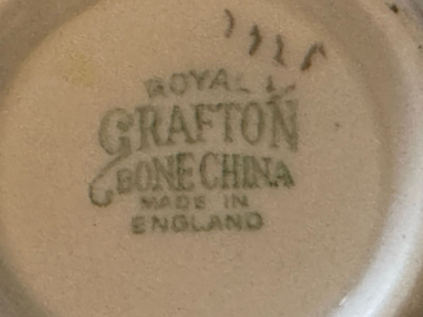 Royal Grafton Yellow Rose Teacup & Saucer