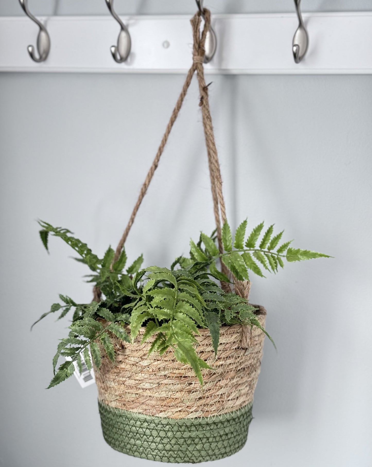 Hanging basket