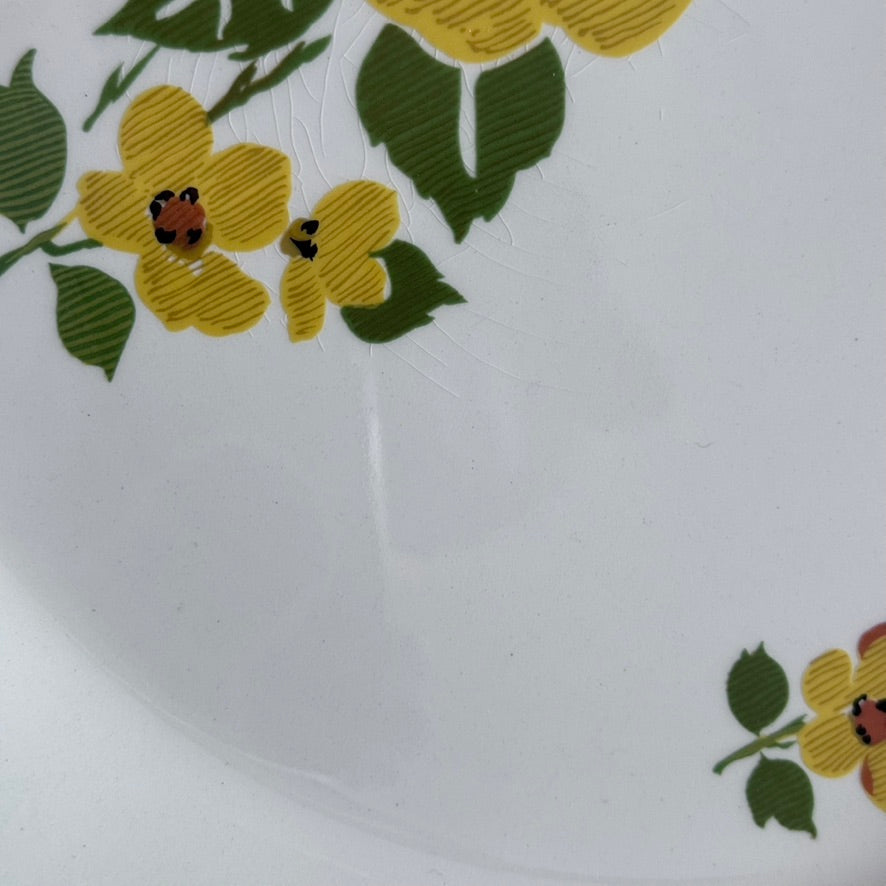 Johnson Brothers 'Ashbourne' Plates