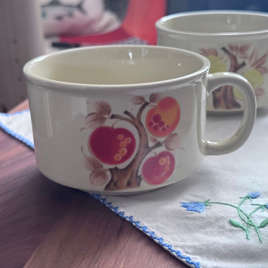 Fruit Pattern Storeware Mugs/Soup Cups