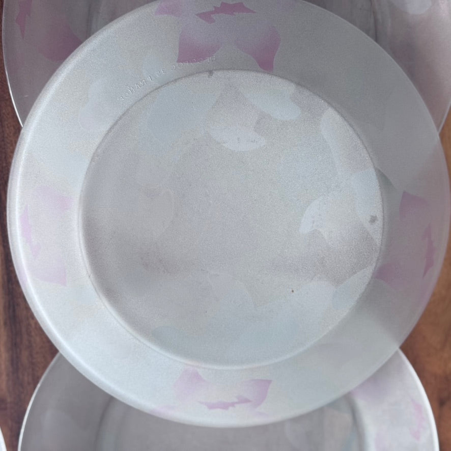 Arcoroc France Frosted Glass Dinner Plates