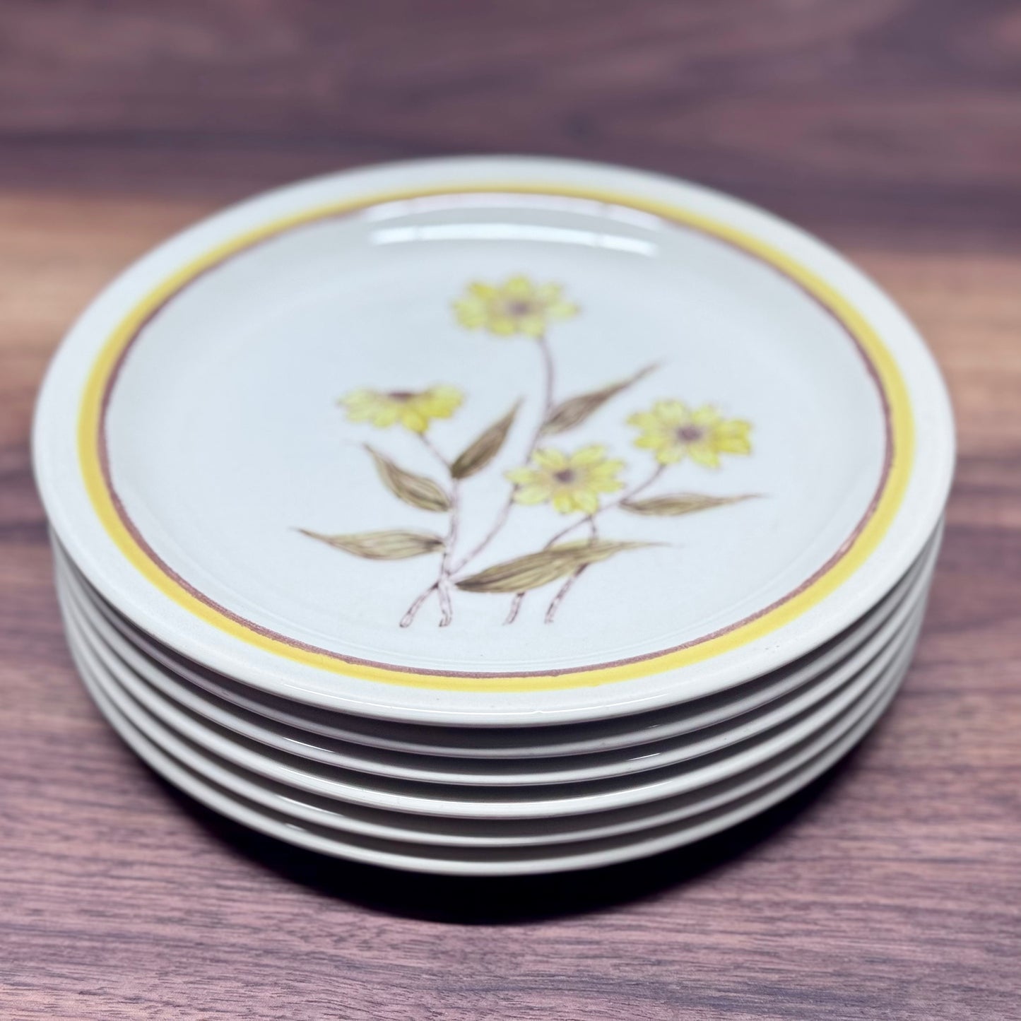 Forma Stone Hand Decorated Plates