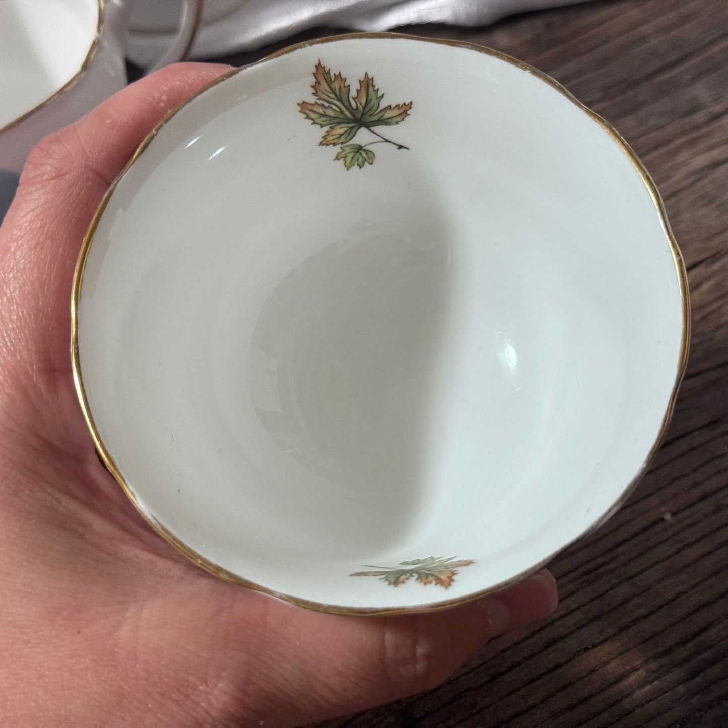 Regency England 'Parliament Buildings Ottawa' Bone China Coffee Set