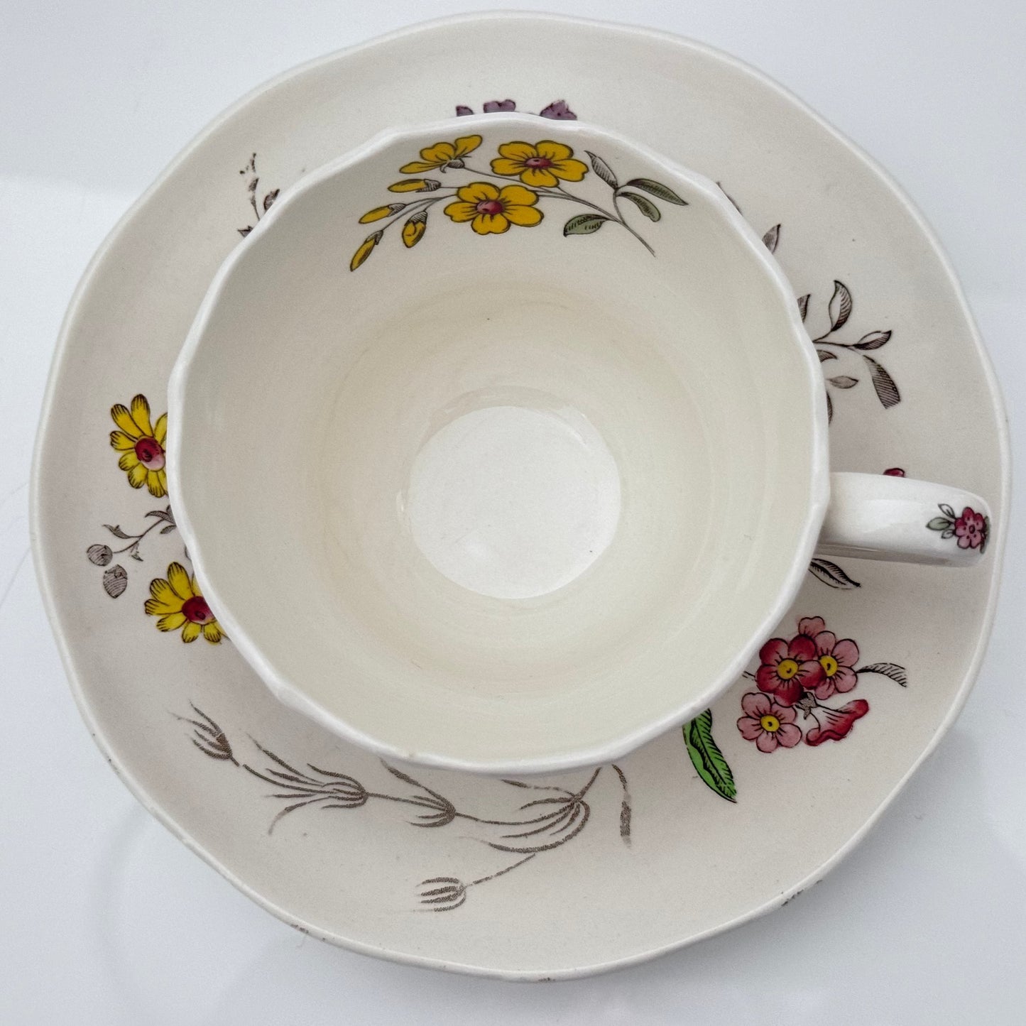 W.T. Copeland & Sons Spode Tea Cup & Saucer