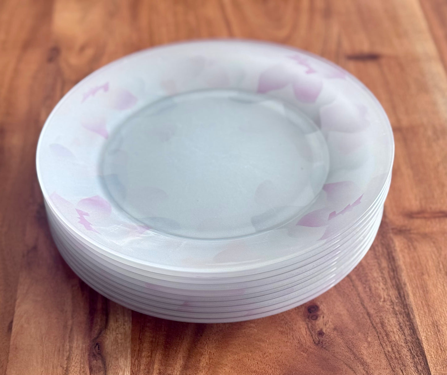 Arcoroc France Frosted Glass Dinner Plates