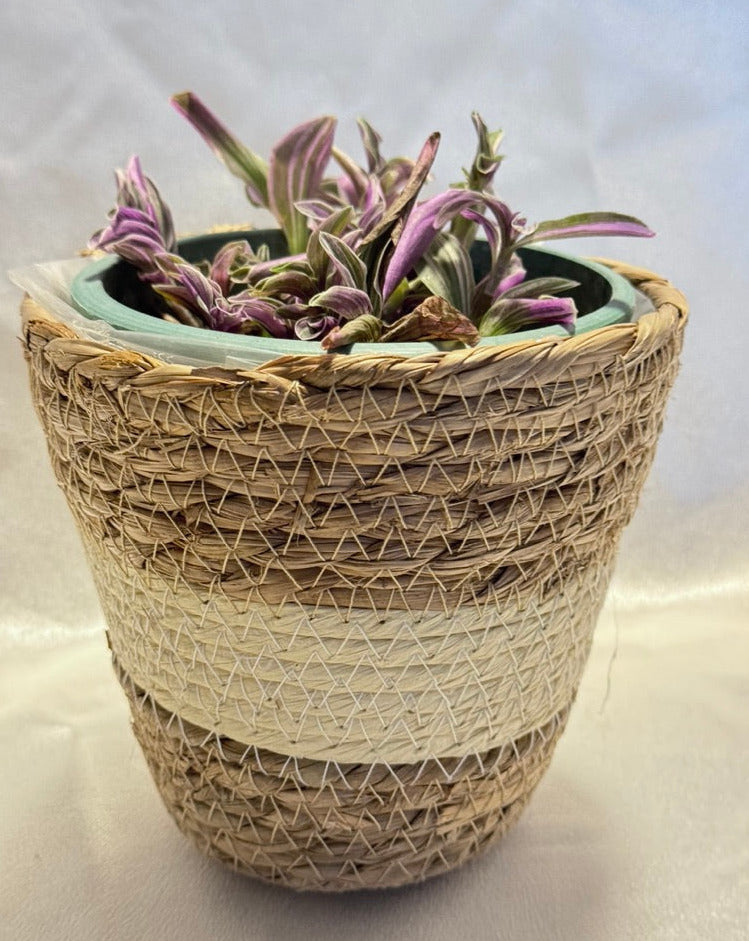 Woven Flower Pot Set