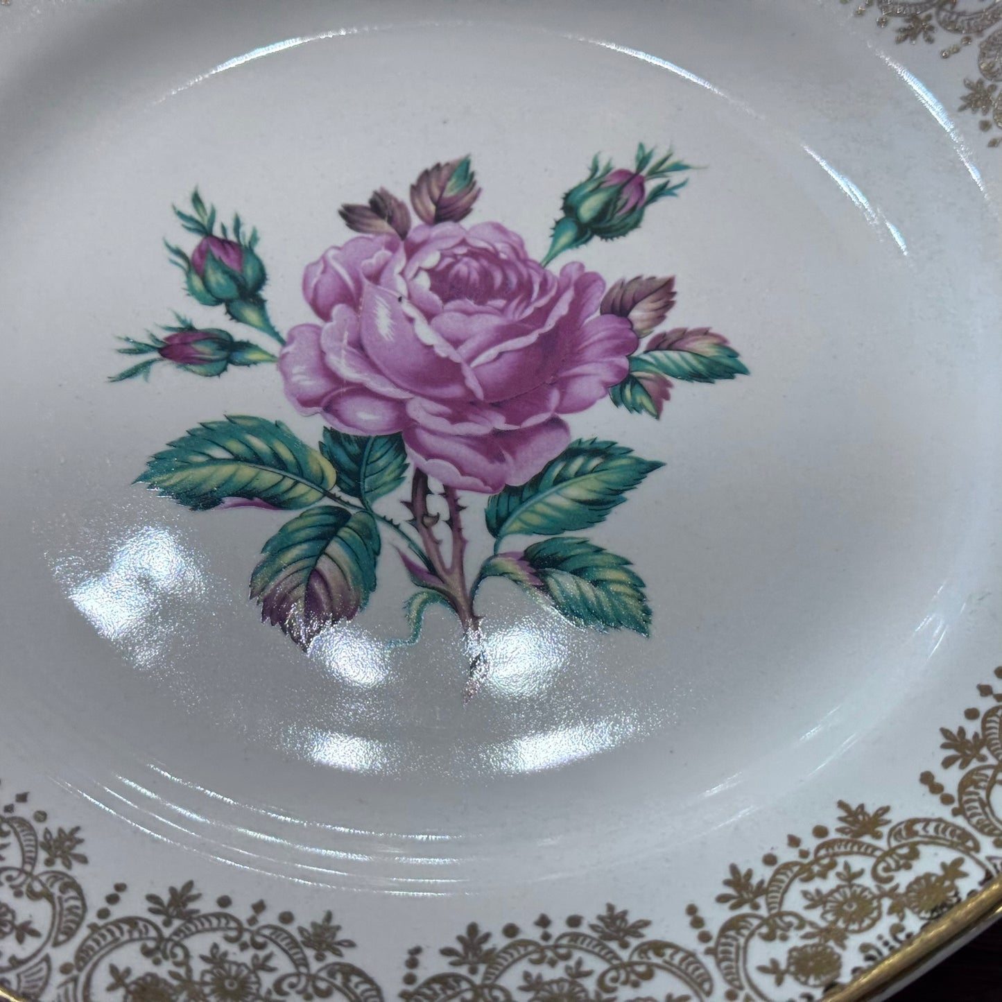 Georgian China 'Briar Rose' Lunch/Dinner Plates