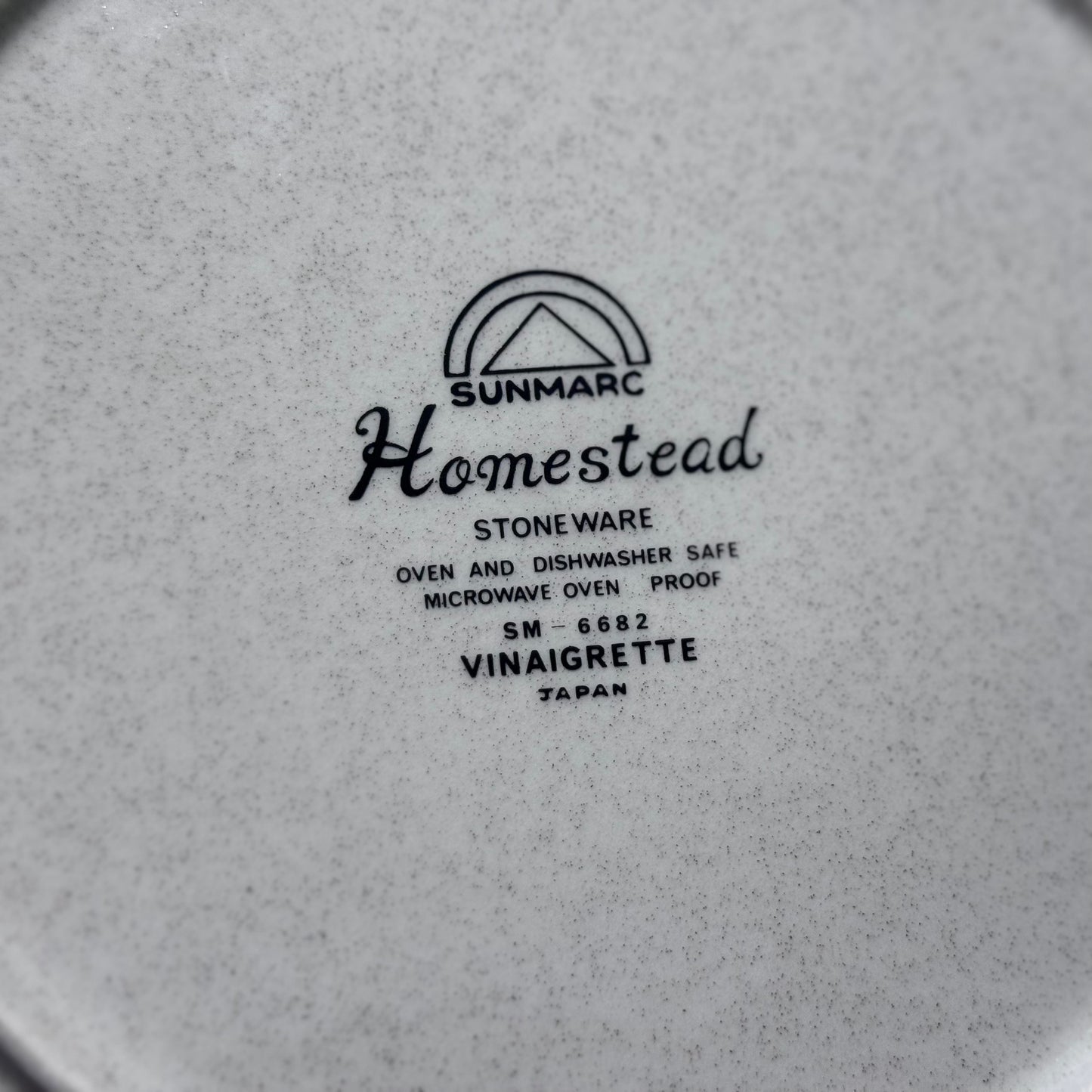 Sunmarc Homestead "Vinaigrette' Stoneware Dinner Plates