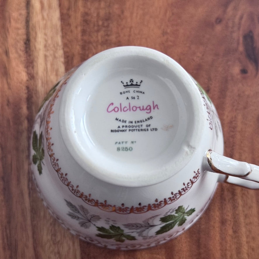 Colclough Ridgway Potteries Teacup & Saucer