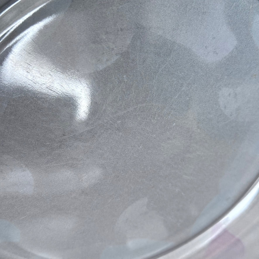 Arcoroc France Frosted Glass Dinner Plates