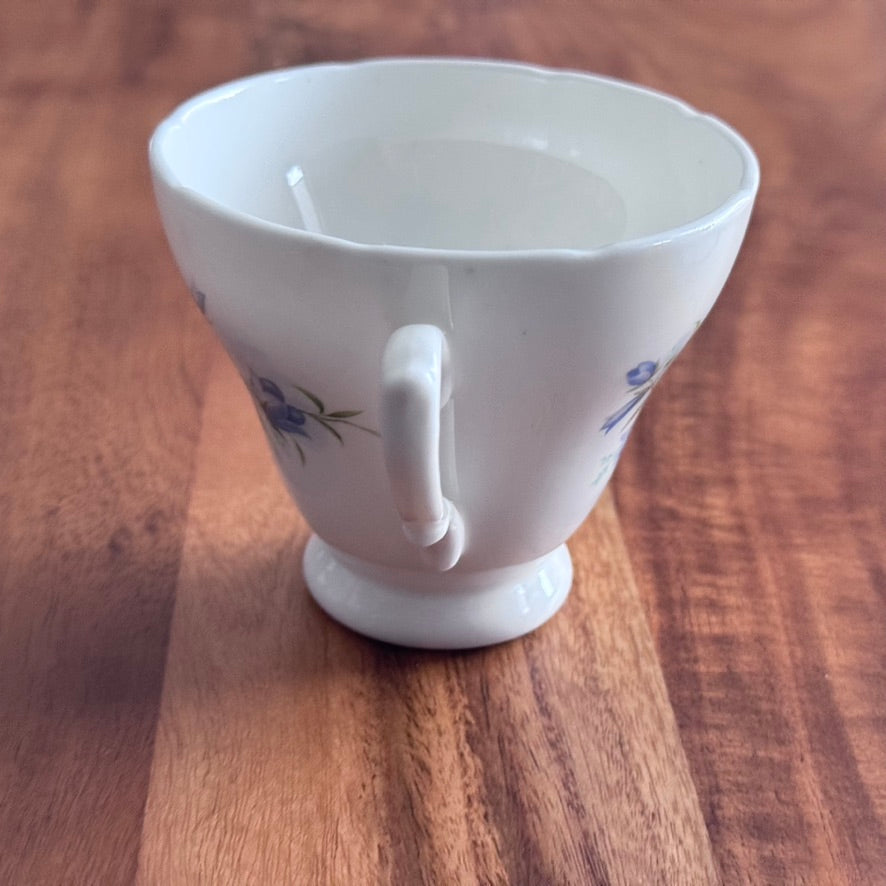 Royal Trent 'BlueBells' Teacup & Saucer