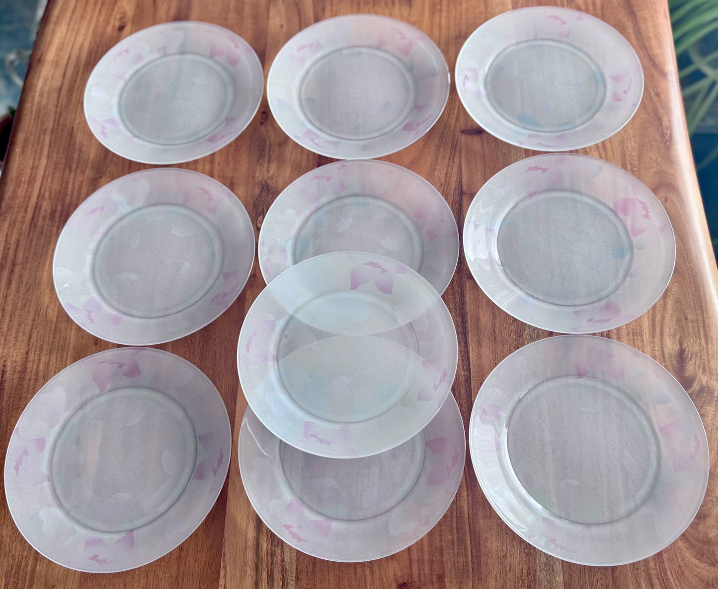 Arcoroc France Frosted Glass Dinner Plates
