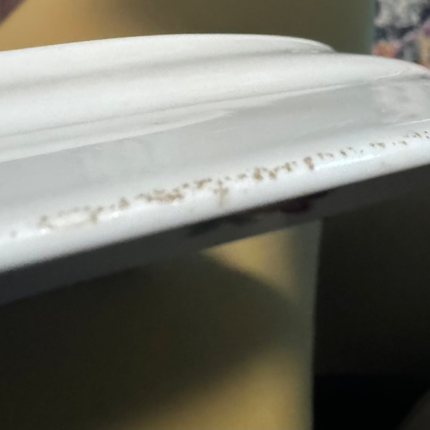 Czecho-Slovakia Serving Plate