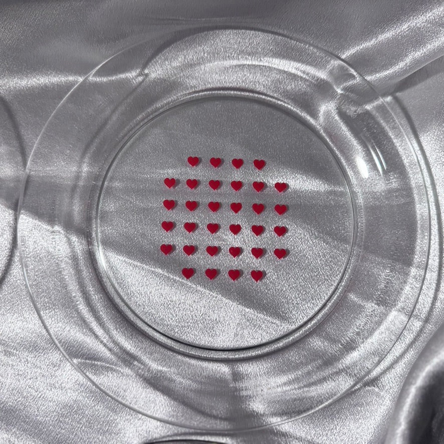 Made in France Clear Glass Heart Plates