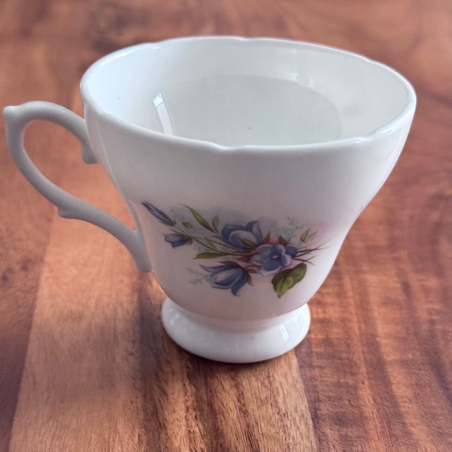 Royal Trent 'BlueBells' Teacup & Saucer