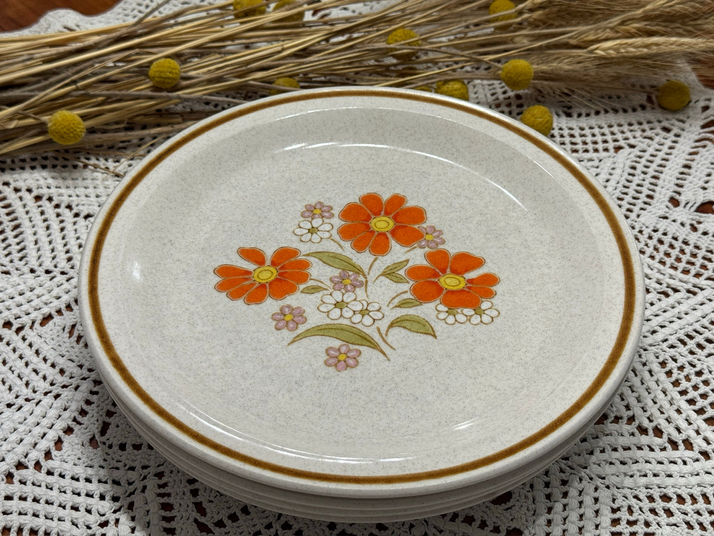 COLORSTONE Japan Dinner Plates