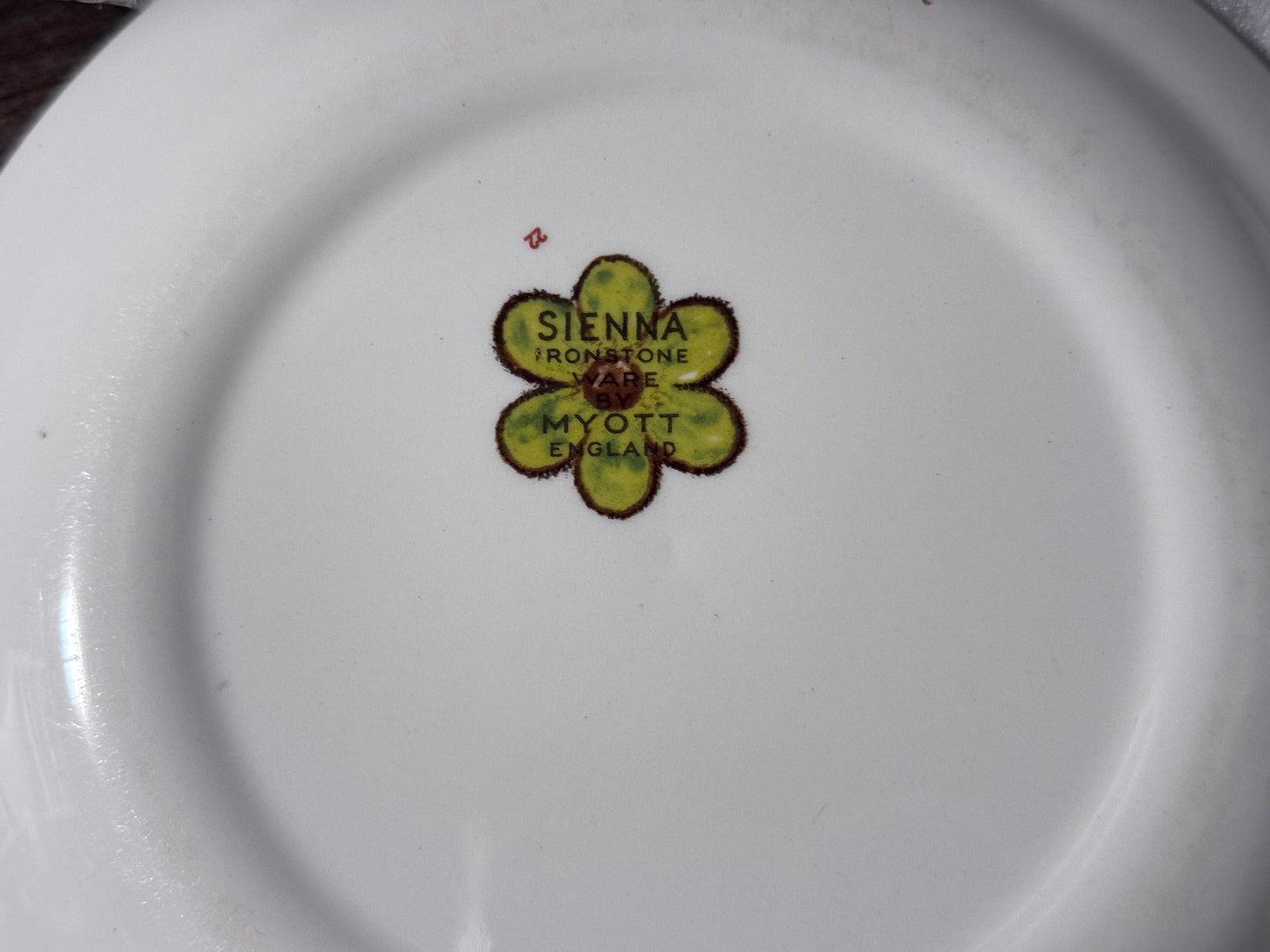 'SIENNA' Ironstone Ware Bowl & Saucer MYOTT England