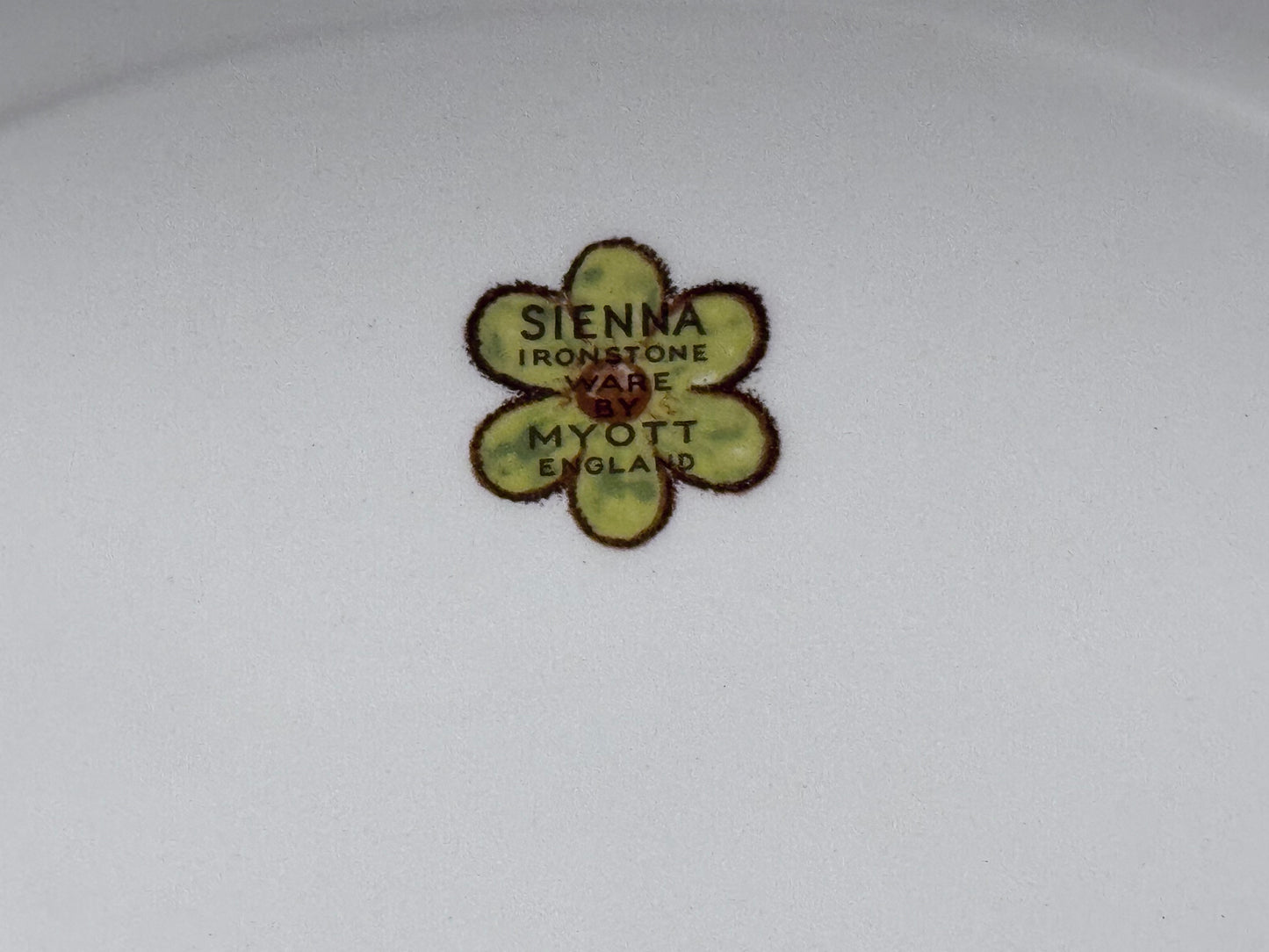 'SIENNA' Ironstone Ware Serving Platter MYOTT England