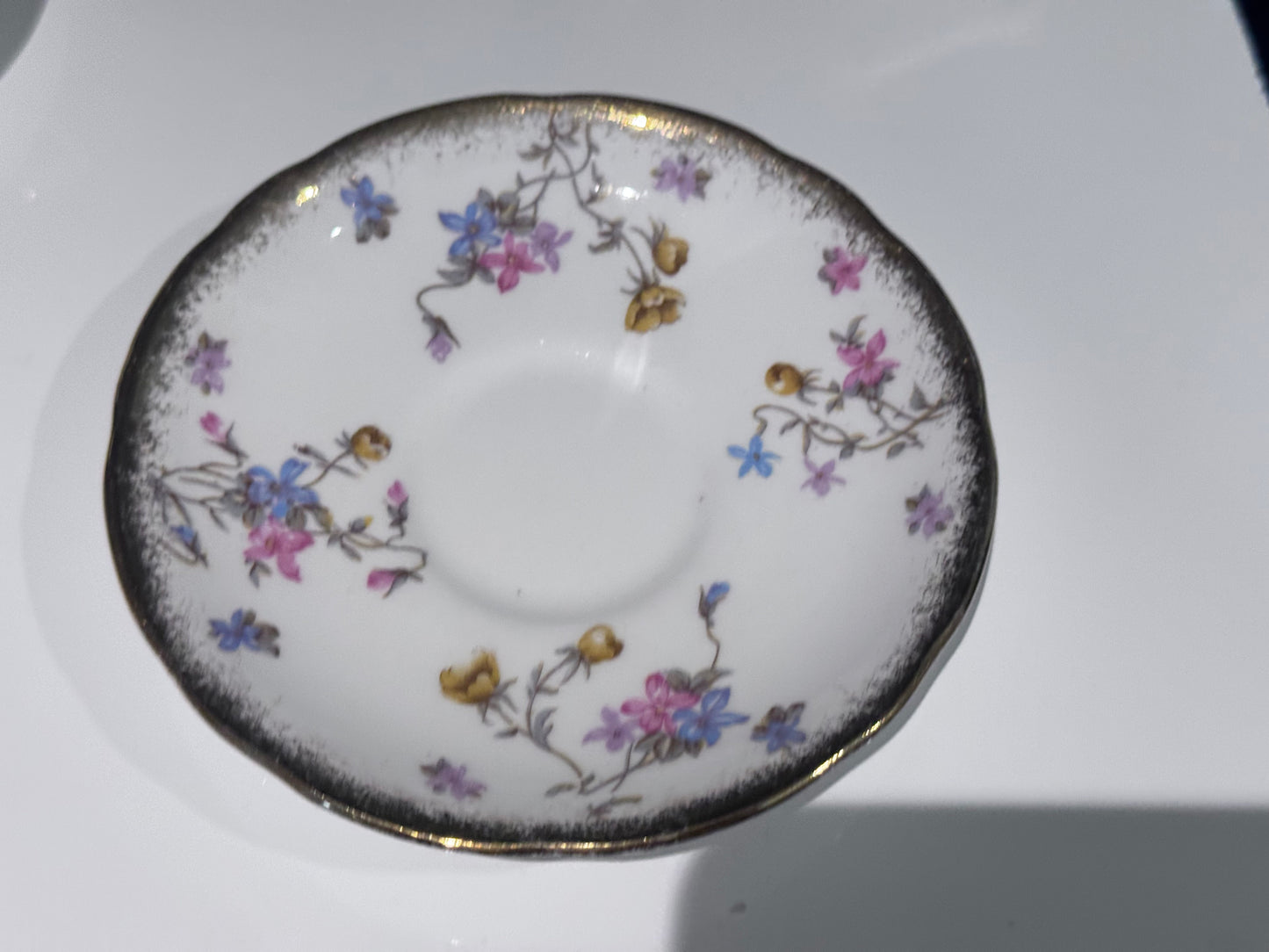 Royal Stafford 'Violets Pompadour' Fine Bone China Tea Cup and Saucer