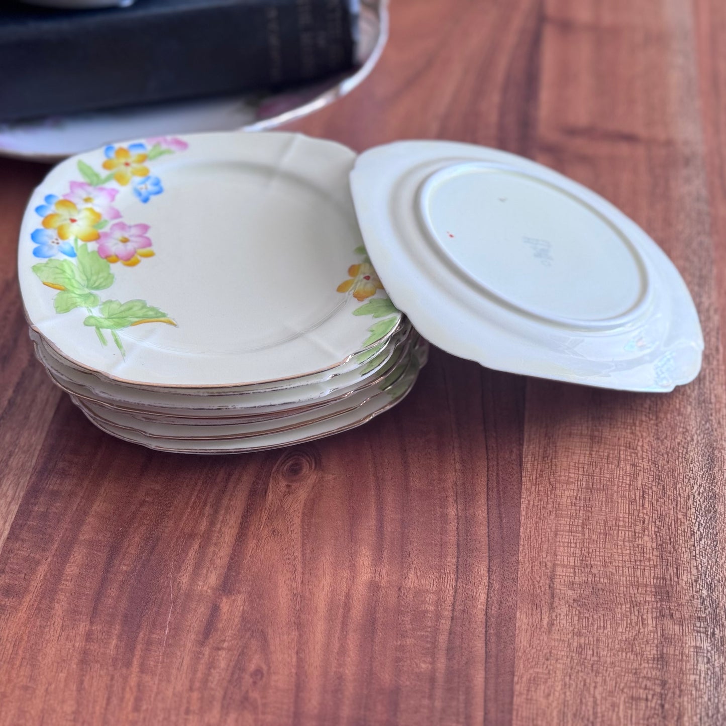 Paragon 'Saxifrage' Hand Painted Plates