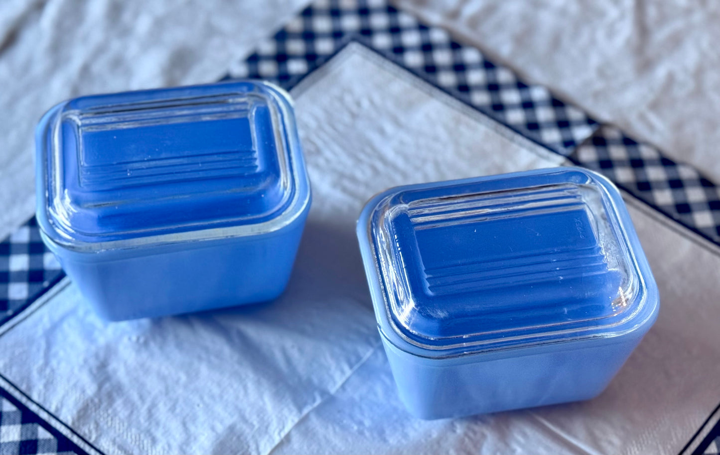 Blue Delphite Fridgie with Clear Lid