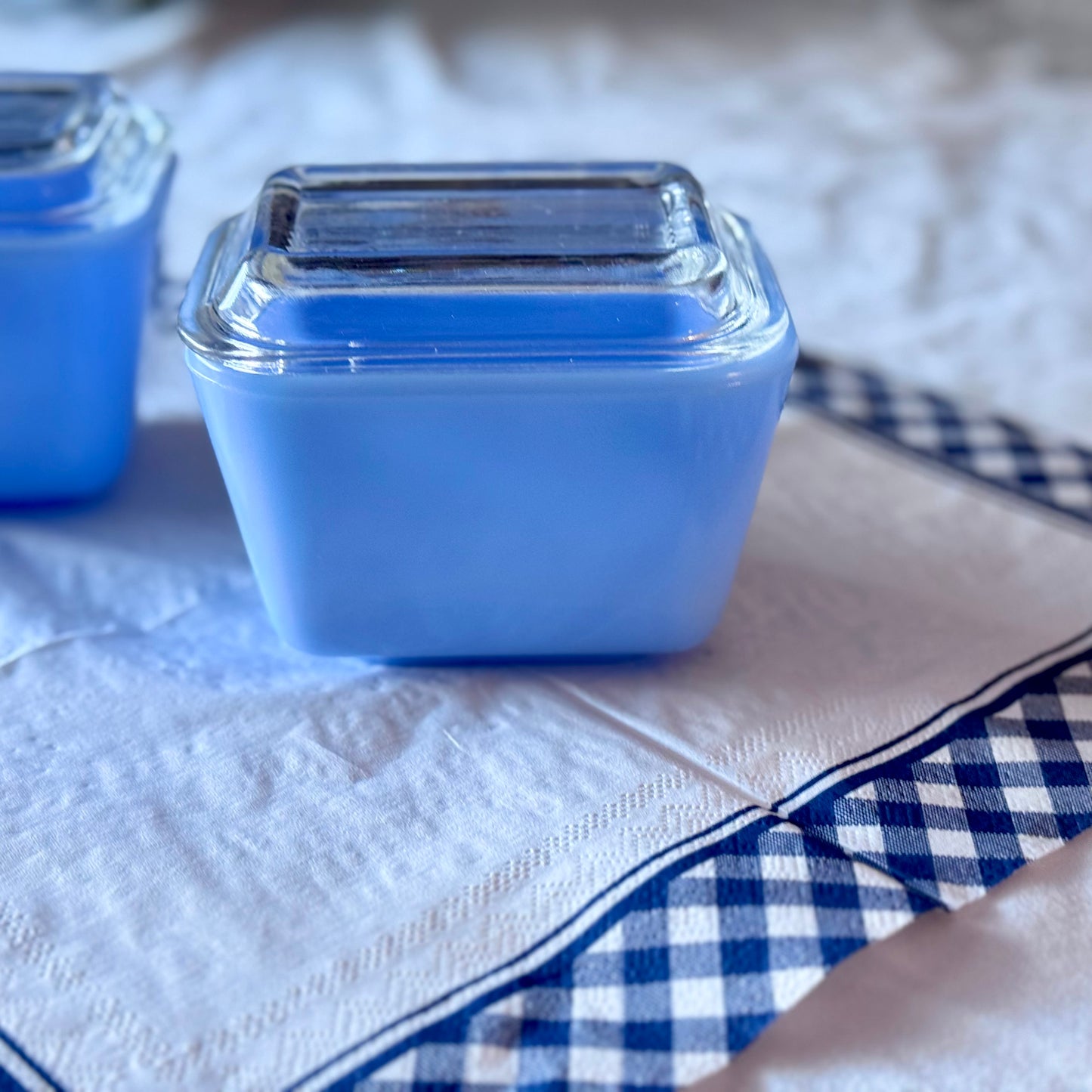 Blue Delphite Fridgie with Clear Lid