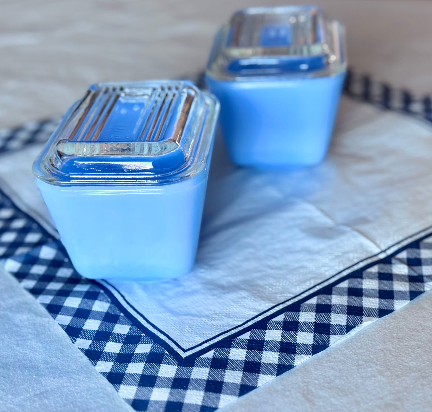 Blue Delphite Fridgie with Clear Lid