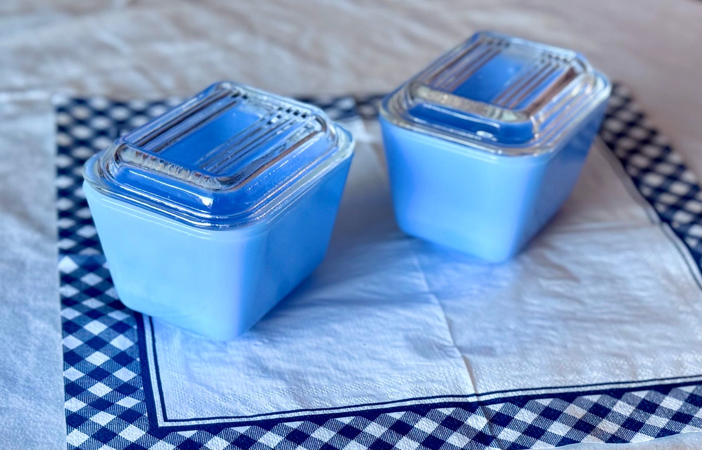 Blue Delphite Fridgie with Clear Lid