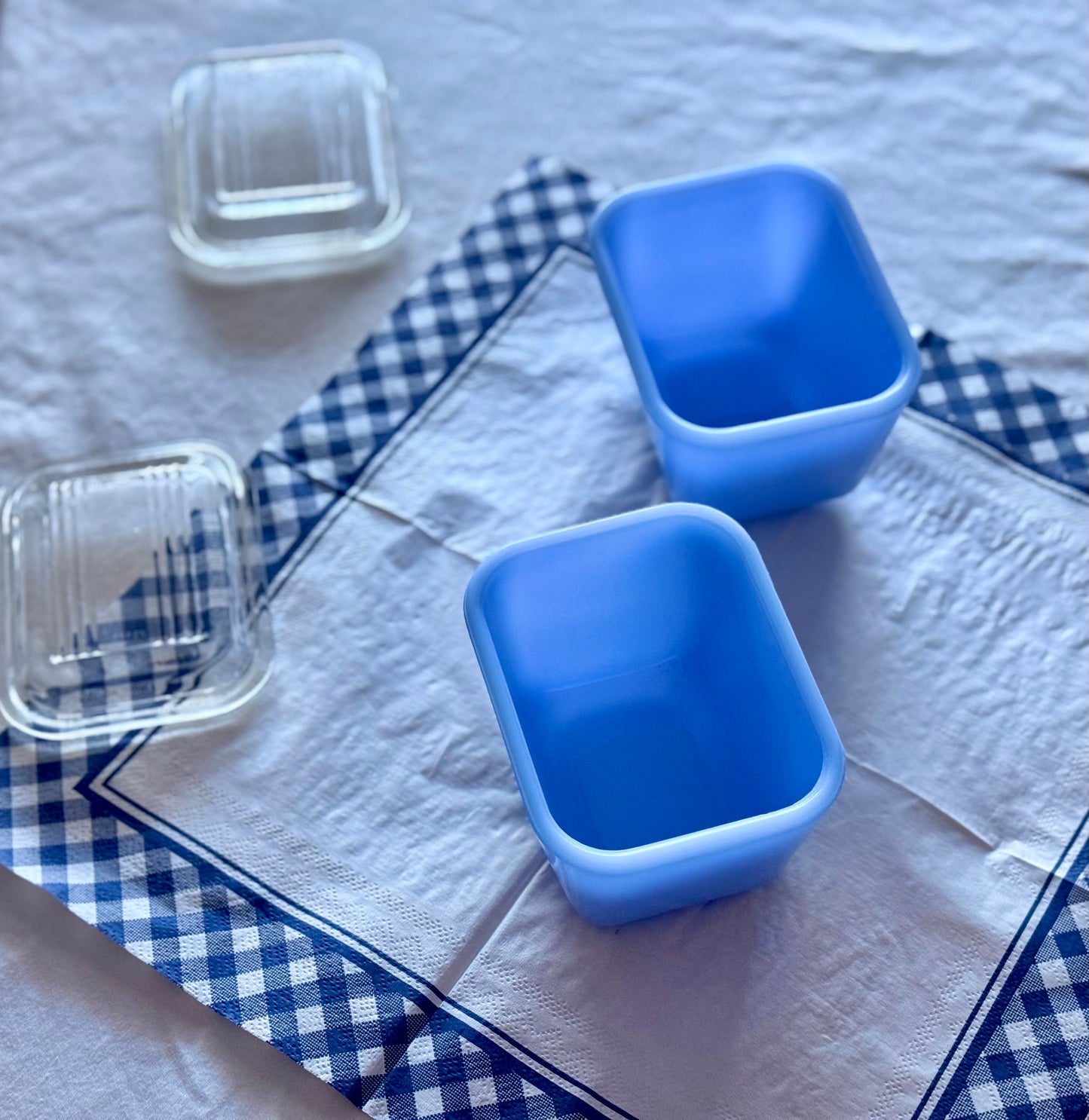 Blue Delphite Fridgie with Clear Lid