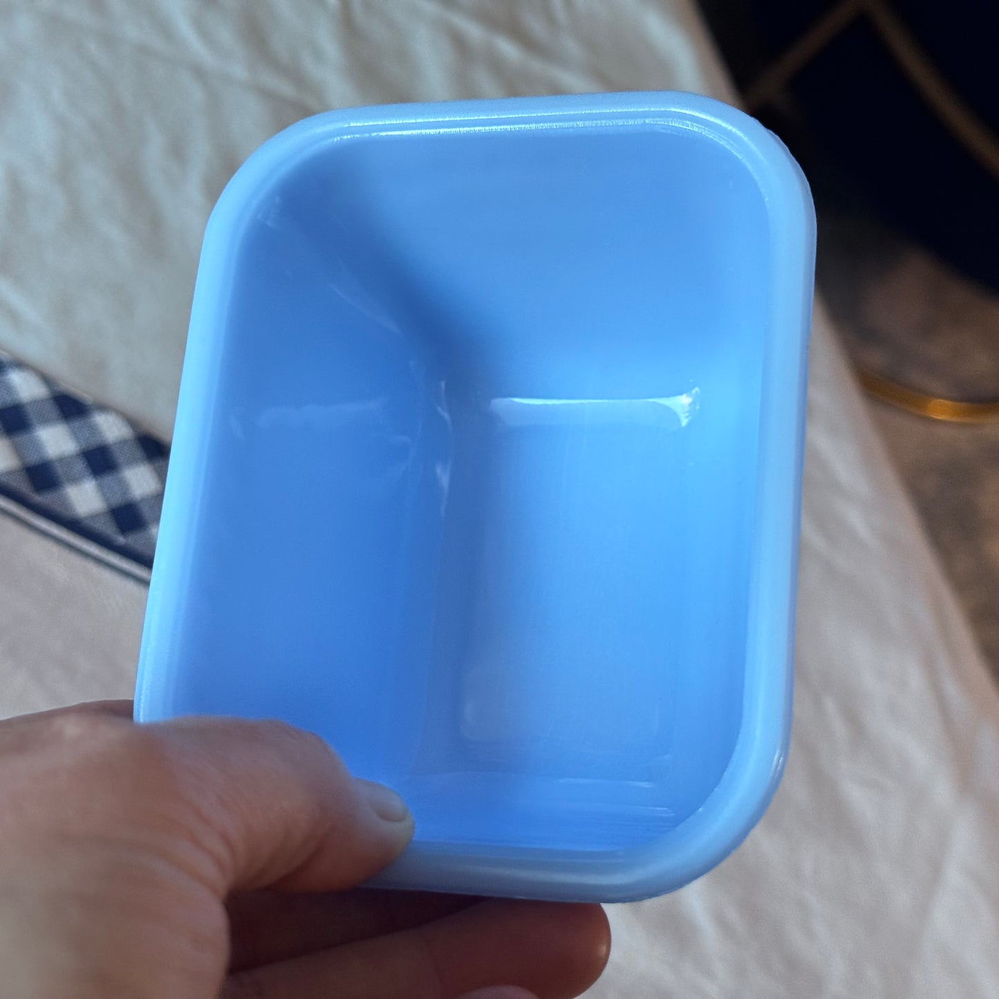 Blue Delphite Fridgie with Clear Lid
