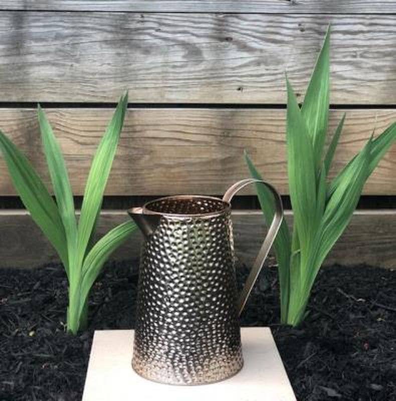 Copper Finish Hammered Pitcher