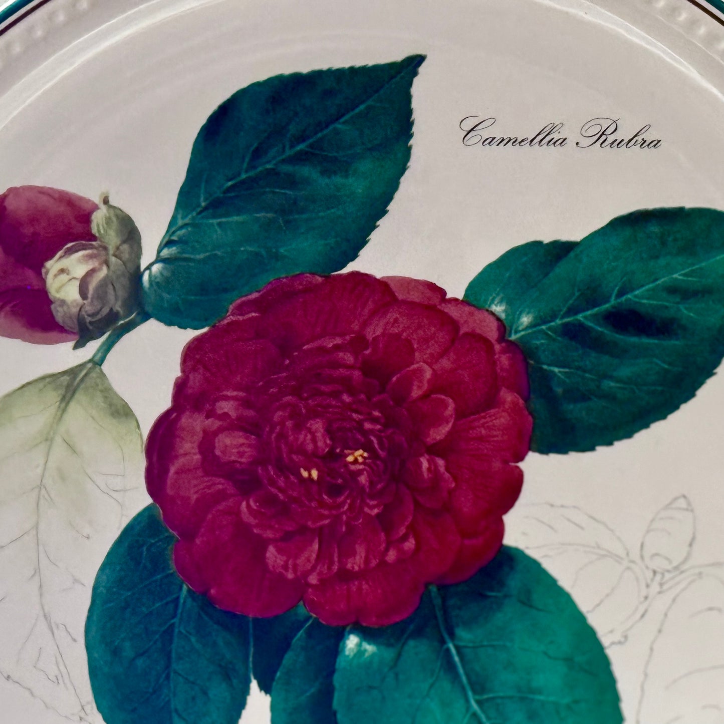 Villeroy & Boch Nicolas Liex 'Camellia Rubra' 1985 Wall Plate