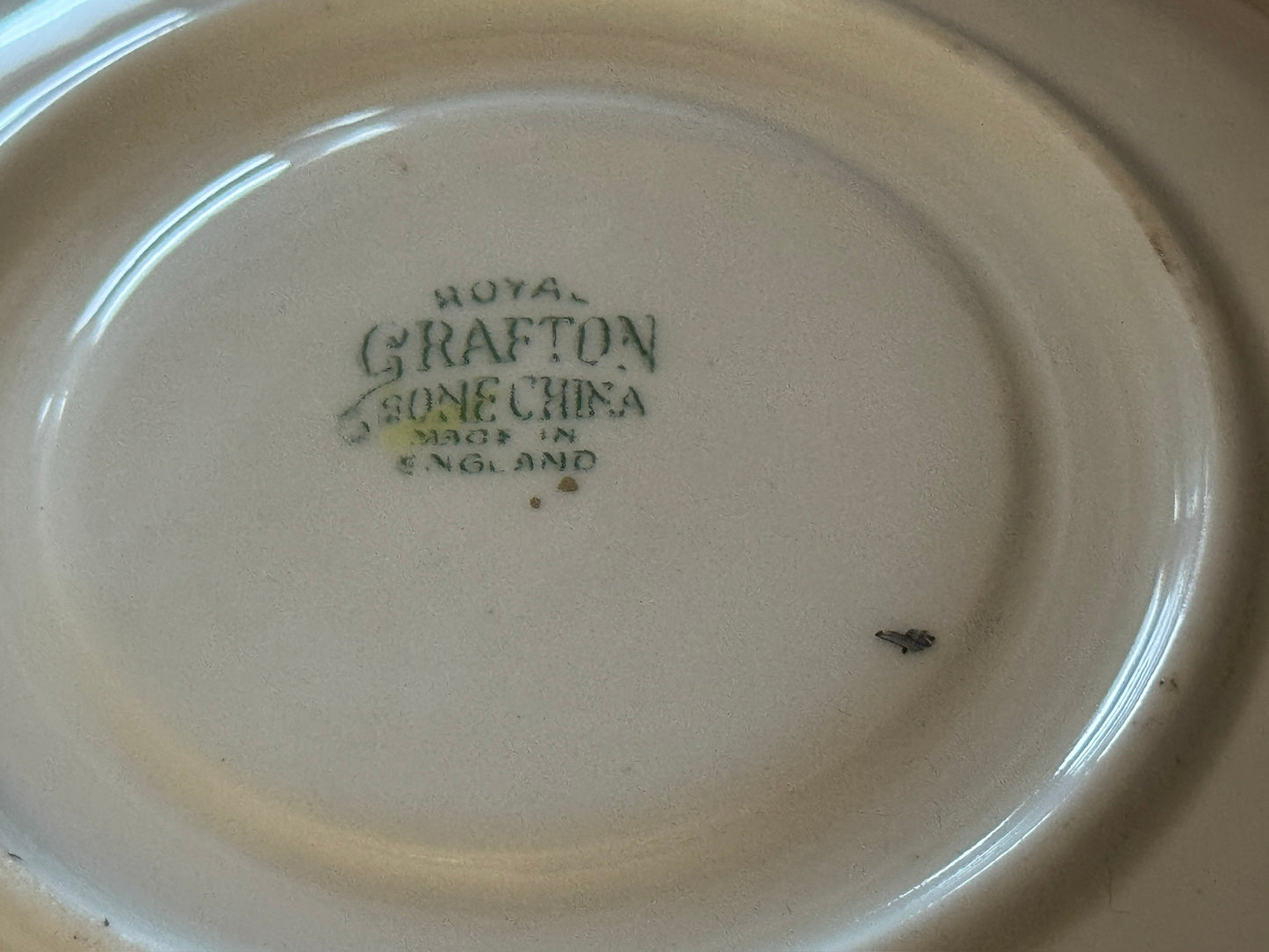 Royal Grafton Yellow Rose Teacup & Saucer