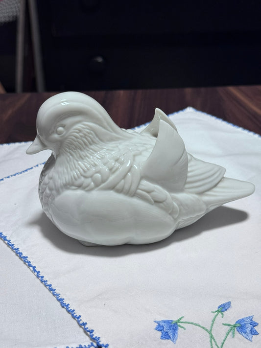 Japanese White Dove