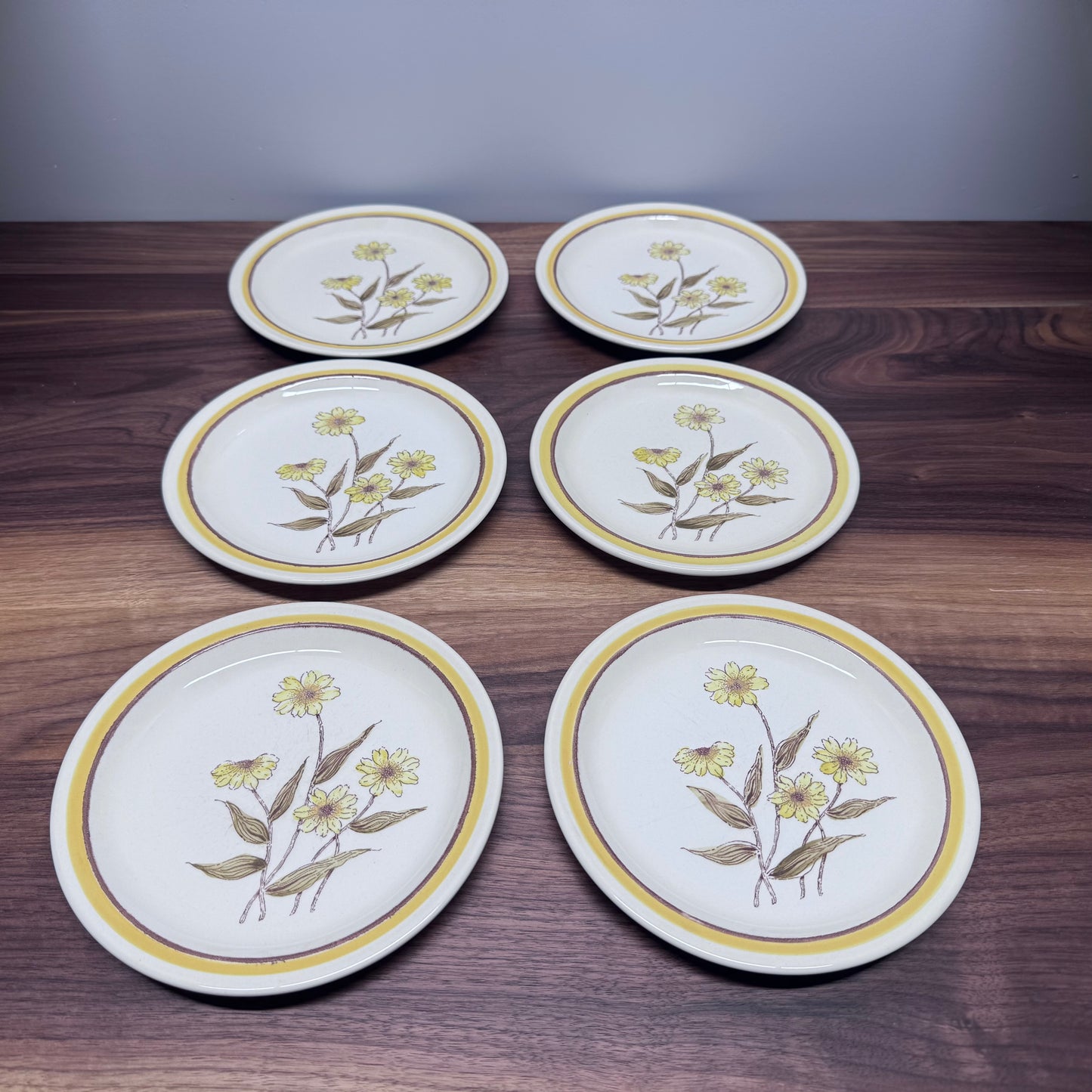 Forma Stone Hand Decorated Plates